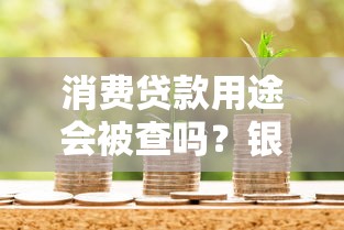 消费贷款用途会被查吗？银行审核流程与避坑指南