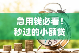 急用钱必看！秒过的小额贷款攻略，快速到账不用等