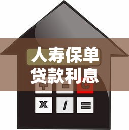 建行个人信用贷款申请全攻略：手把手教你快速下款