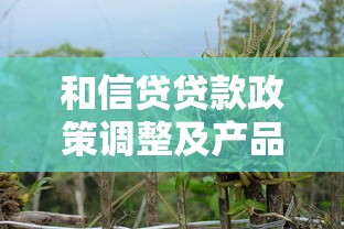 和信贷贷款政策调整及产品创新动态解析