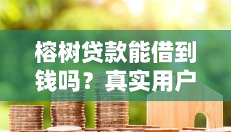 榕树贷款能借到钱吗？真实用户经验与申请全攻略