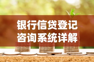 银行信贷登记咨询系统详解：贷款申请与信用管理指南
