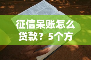 征信呆账怎么贷款？5个方法教你成功申请贷款攻略